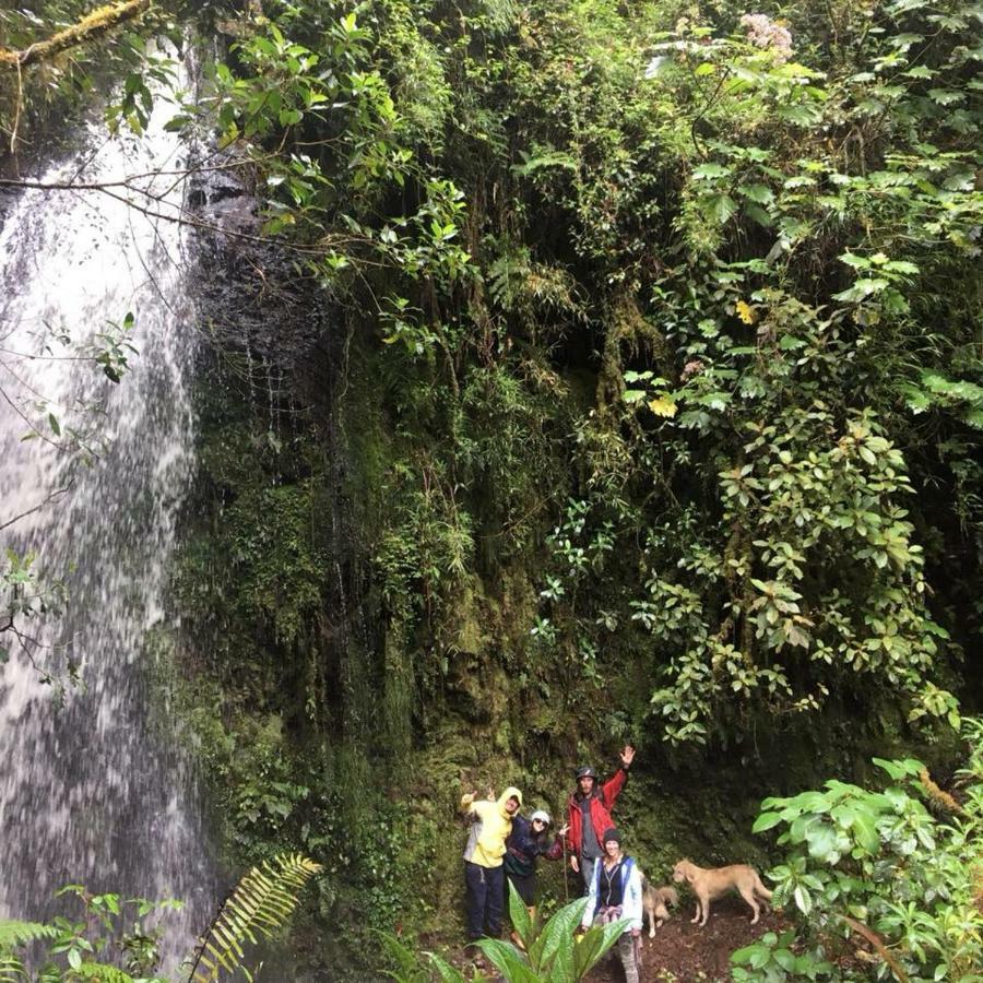 Cabana De Montana La Magnolia, Cerro De La Muerte De La Canuela Cloud Forest Tres de Junio Екстериор снимка